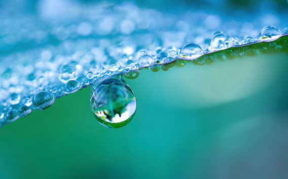 “Large drop water reflects environment. Nature spring photography — raindrops on plant leaf. Background image in turquoise and green tones with bokeh.” © Laura Pashkevich