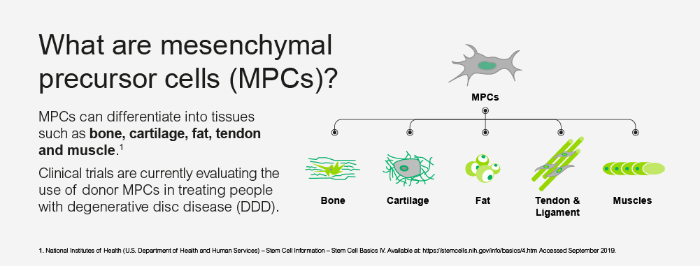 What are mesenchymal precursor cells (MPCs) ?