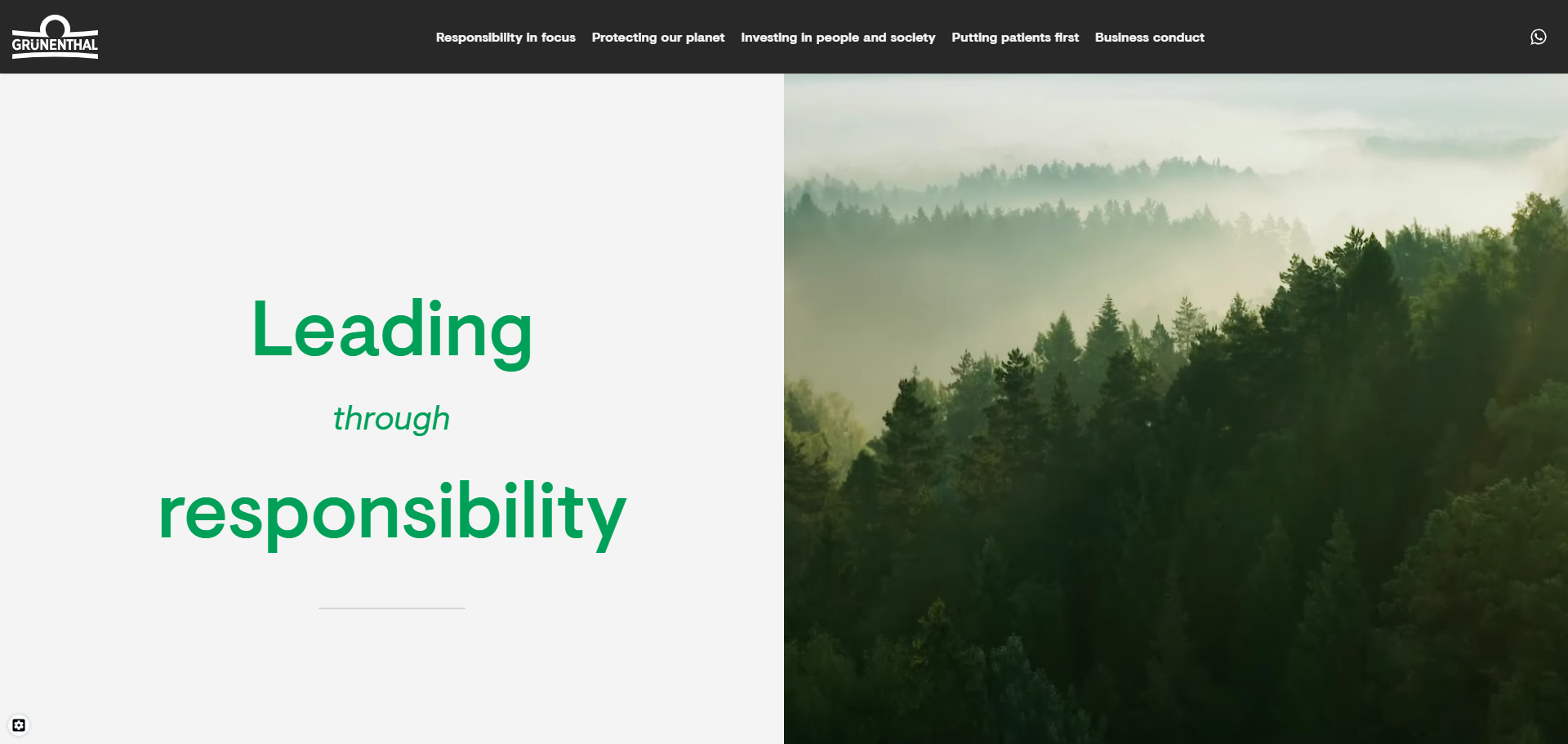 Grünenthal Responsibility Overview