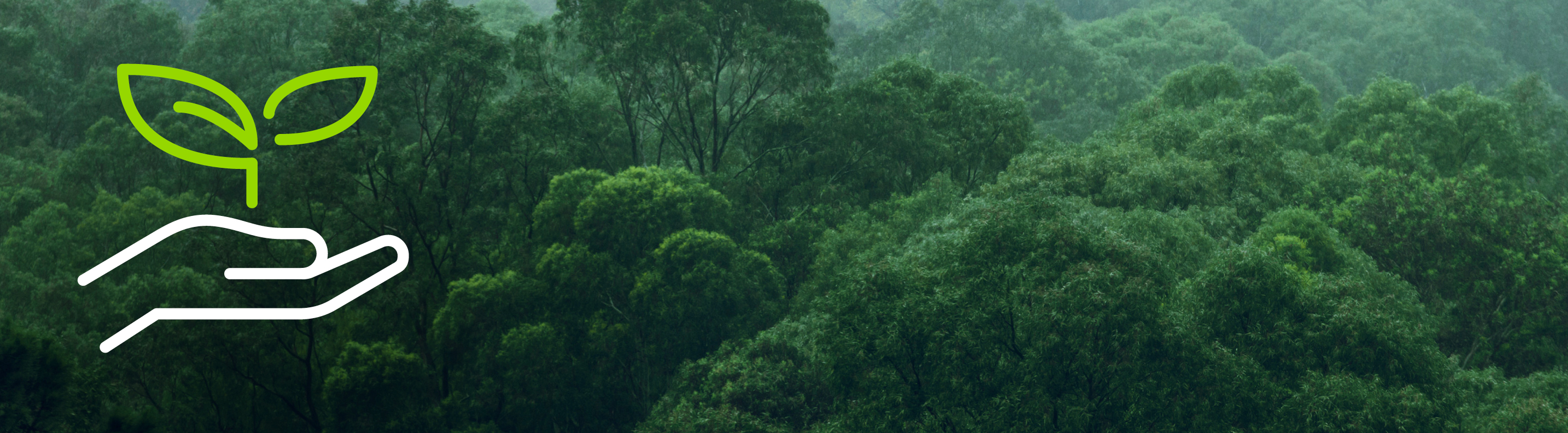 Grünenthal global reforestation project