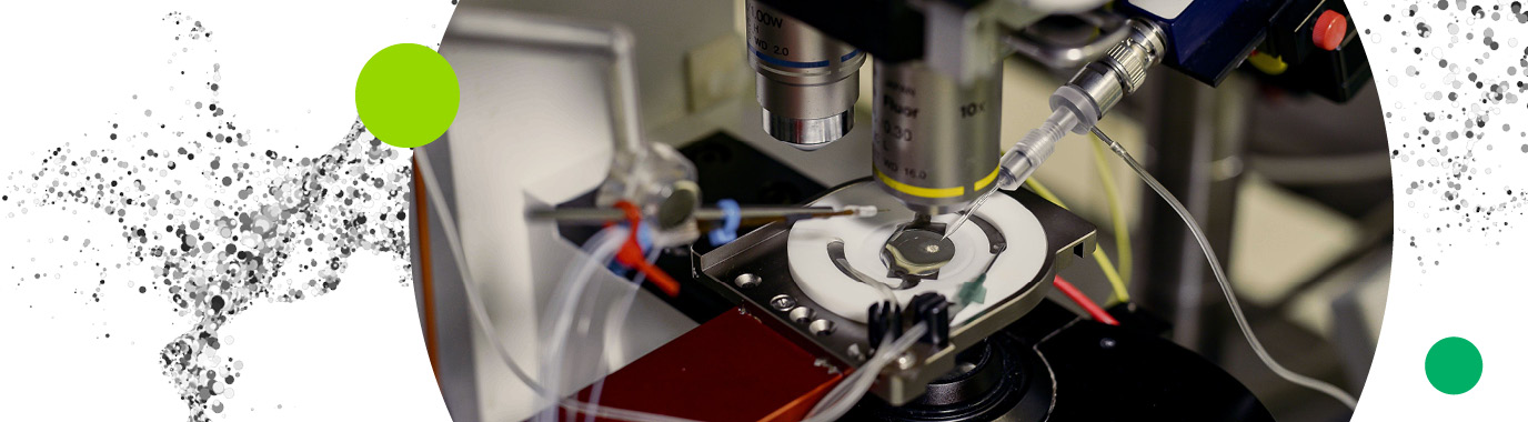 Electrophysiology at Grünenthal