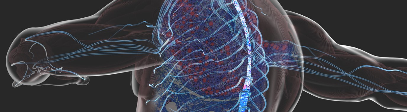Light microscopy of a nerve ganglion