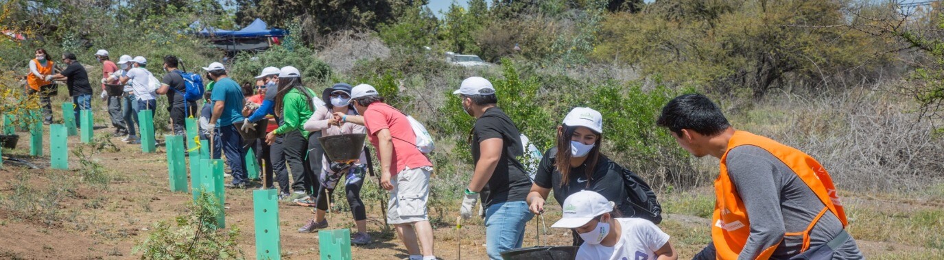 Grünenthal employees and their families planting trees in Chile  as part of the #TreesForOurPlanet reforestation project initiated by Grünenthal
