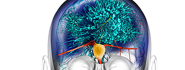 Developing drugs with AI