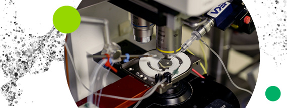 Electrophysiology at Grünenthal