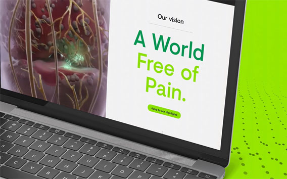 Experience our virtual company showcase