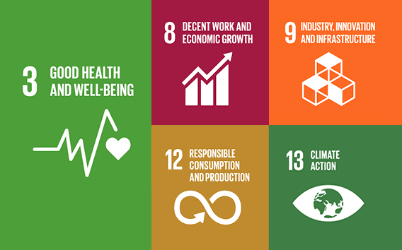 UN Sustainable Development Goals