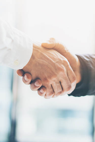 Two hands shaking each other.