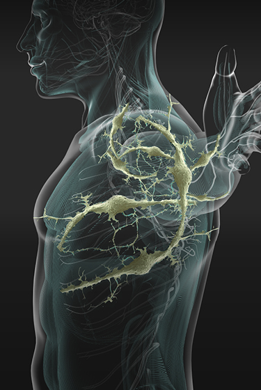 A World Free of Pain - Grünenthal Scientific Body Composing