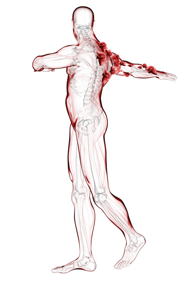 3D body imagery