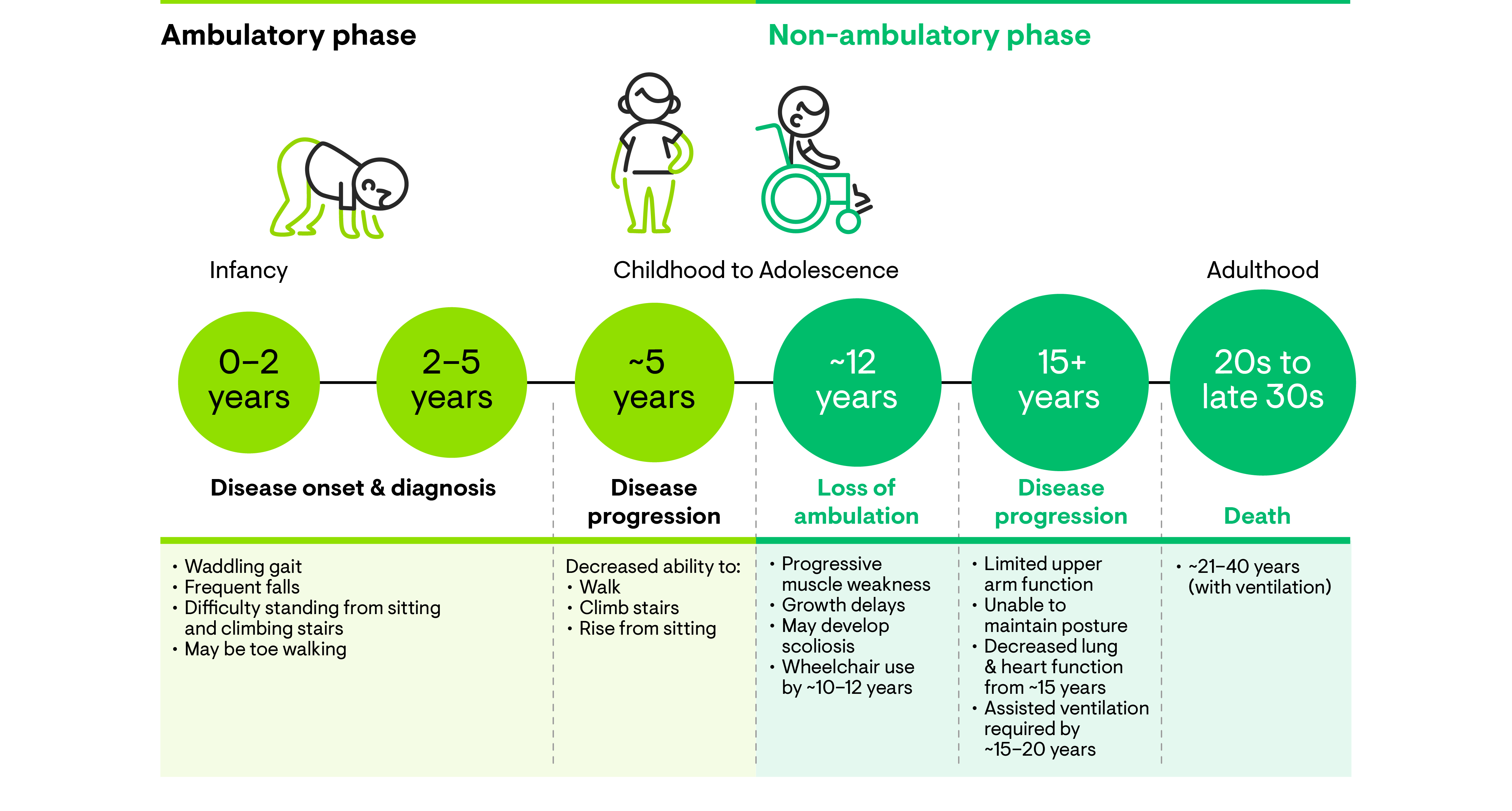 DMD is a progressive disease that follows a distinct and devastating trajectory