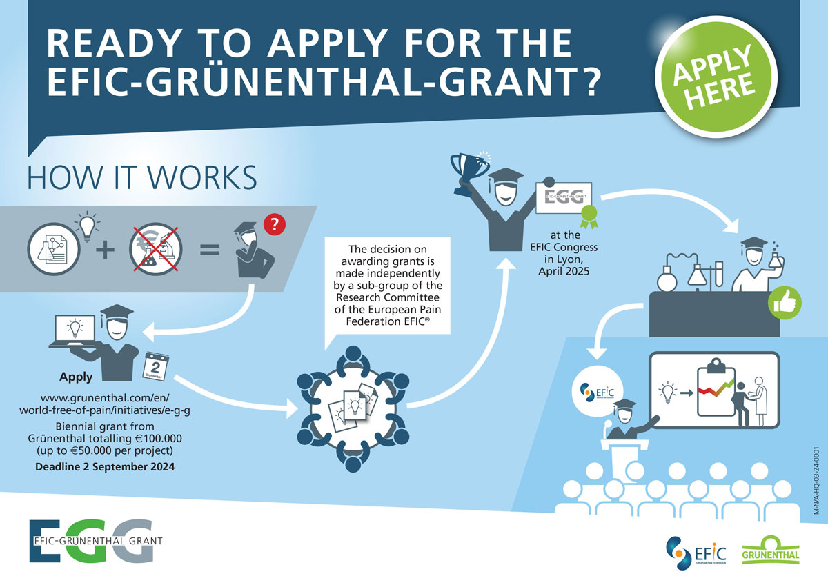 EFIC Grünenthal Grant application process diagram
