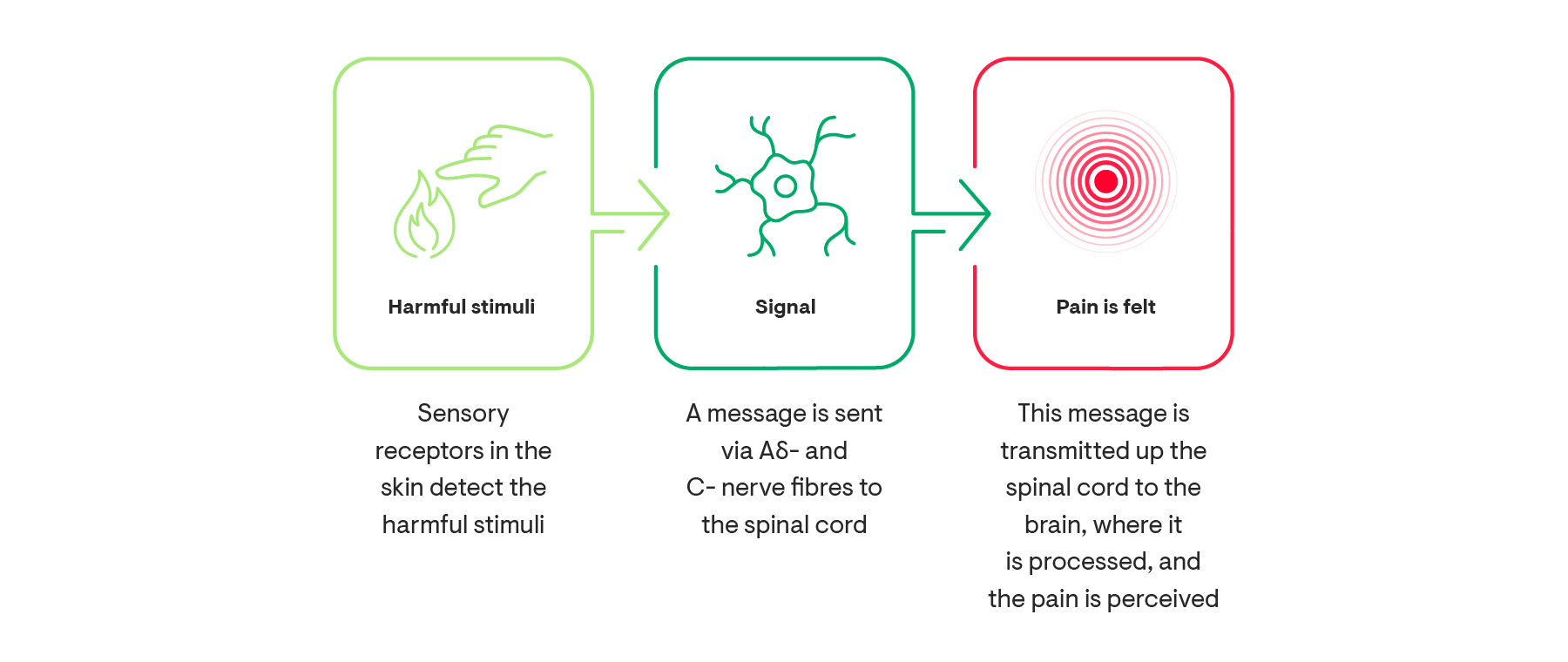 The three different mechanisms that can lead to the perception of pain: Harmful stimuli, Signal, Pain is felt