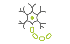 Icon for peripheral neuropathic pain