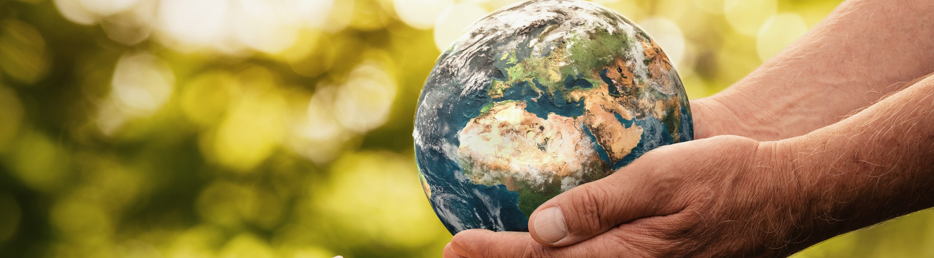 Male hands holding a globe