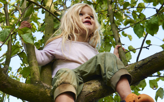 Child sitting in a green tree