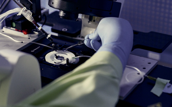 Grünenthal Research colleague working under microscope at HQ laboratory