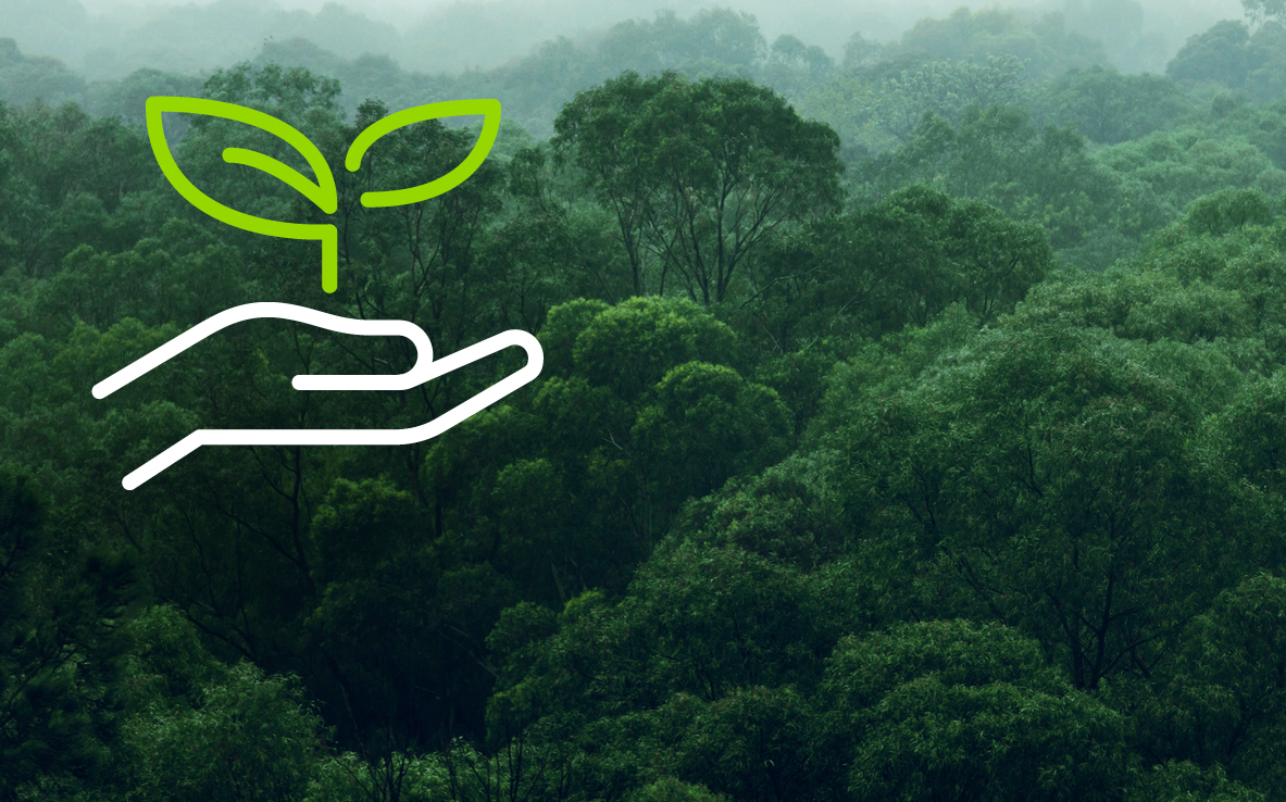 Grünenthal global reforestation project